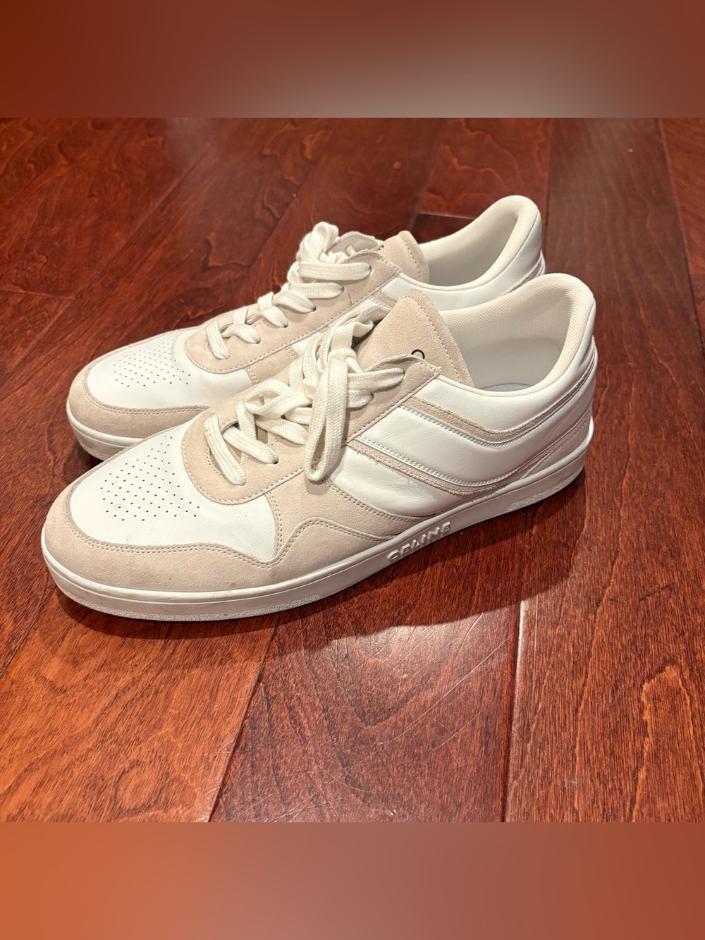 Celine Men’s Trainer Shoes Low “Calfskin” suede
